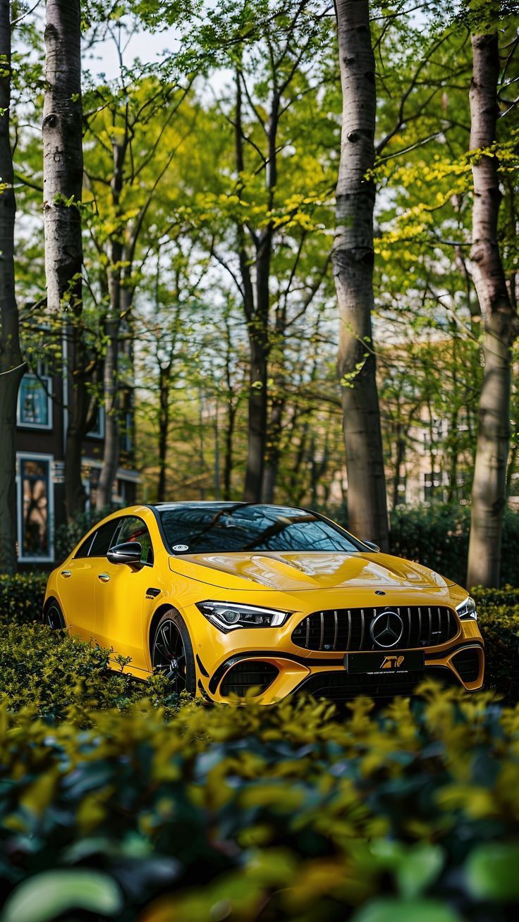Motor Vehicles